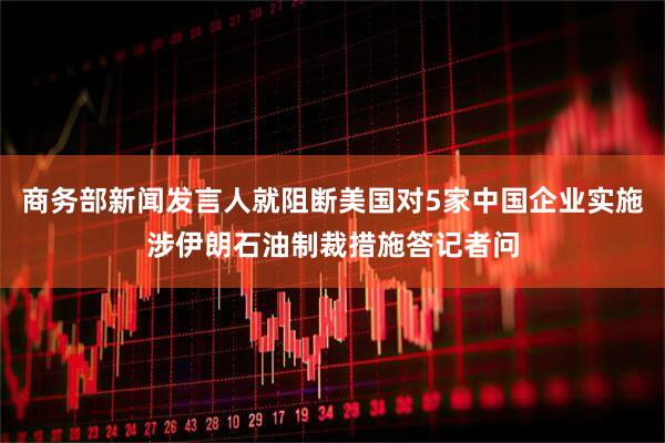 商务部新闻发言人就阻断美国对5家中国企业实施涉伊朗石油制裁措施答记者问
